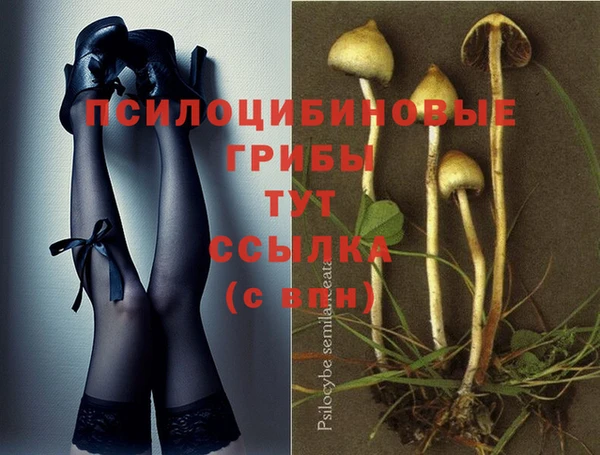 каннабис Карпинск
